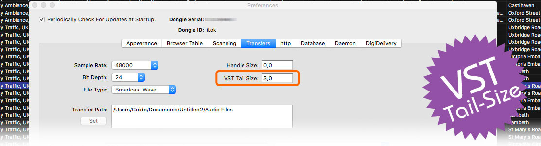 Überlängen von Effekten und Plugins Rendern: VST Tail Size Parameter in Soundminer V4.5 Pro